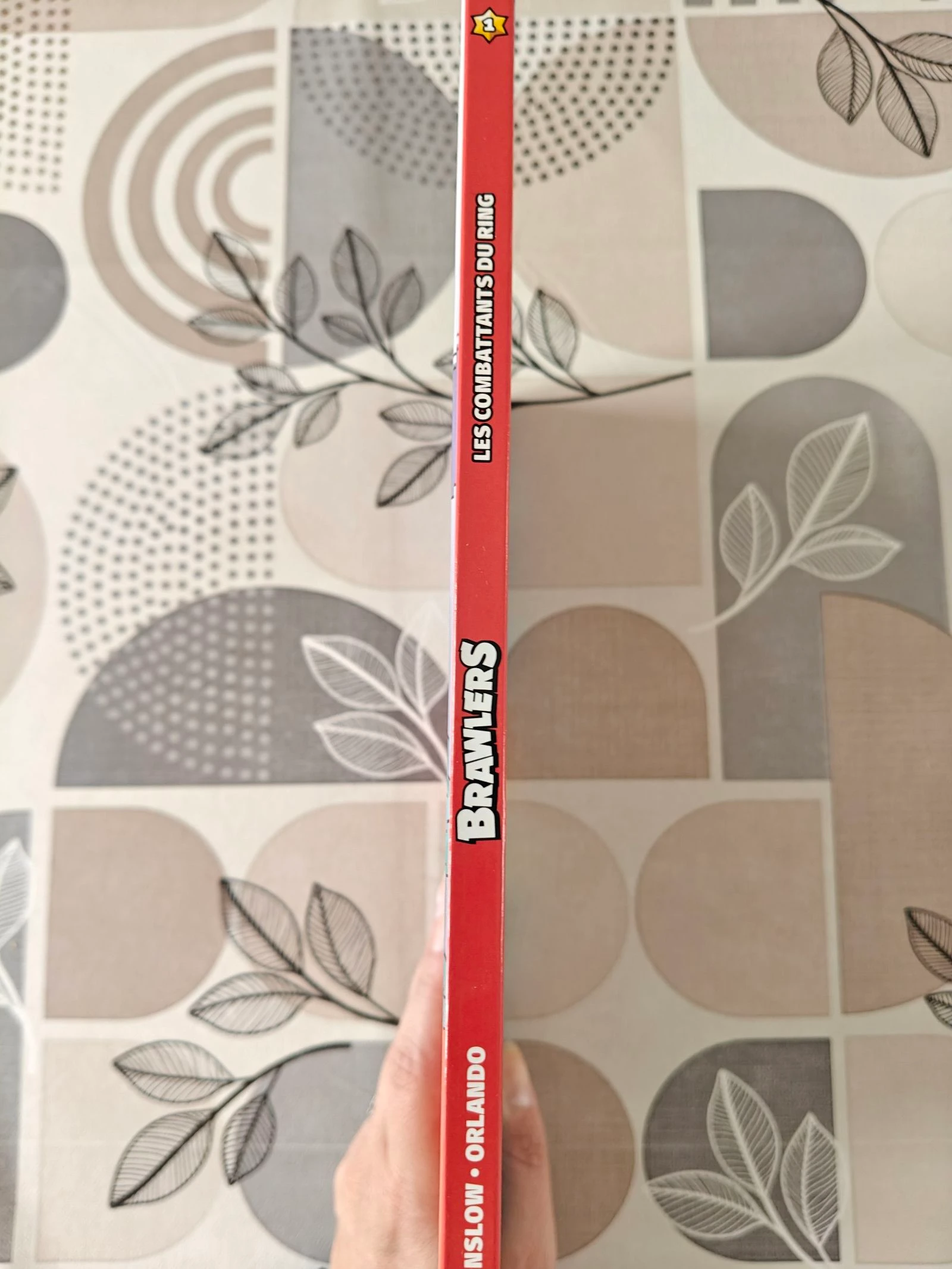 Bd Brawlers volume 1 the ring fighters – photo 3